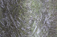 Foremark fibreglass roof work